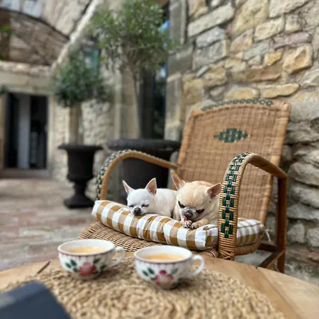 Bed & Breakfast Le Numero 10 Bernis